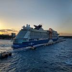 New All Night Long Deli & Grocery Inc.