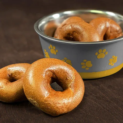 Einstein Bros. Bagels Picture 5