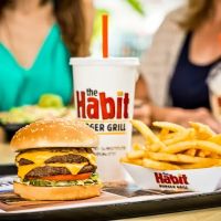 Habit Burger & Grill ico