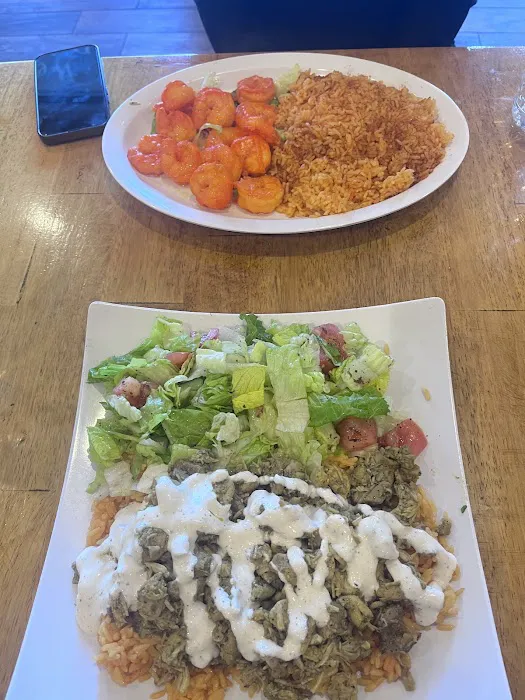 Gyro Grill Picture 6