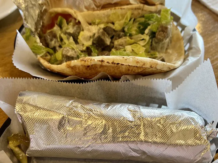 Gyro Grill Picture 8