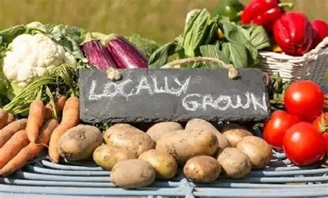 Exploring American Restaurants That Emphasize Seasonal and Locally Sourced Ingredients