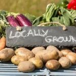 Exploring American Restaurants That Emphasize Seasonal and Locally Sourced Ingredients