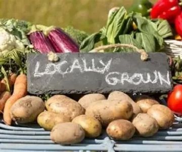 Exploring American Restaurants That Emphasize Seasonal and Locally Sourced Ingredients