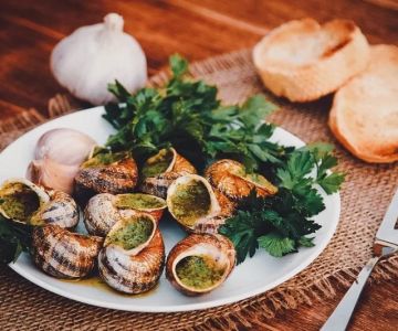 Discovering French Restaurants That Offer Authentic Regional Cuisine