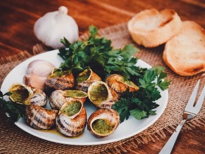 Discovering French Restaurants That Offer Authentic Regional Cuisine