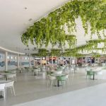 How Food Courts Are Evolving in Modern Malls: Trends, Technology & Dining