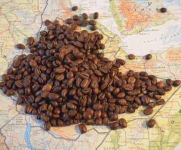 How Coffee Shops Are Highlighting Specialty Beans From Around the World | Dine Droop
