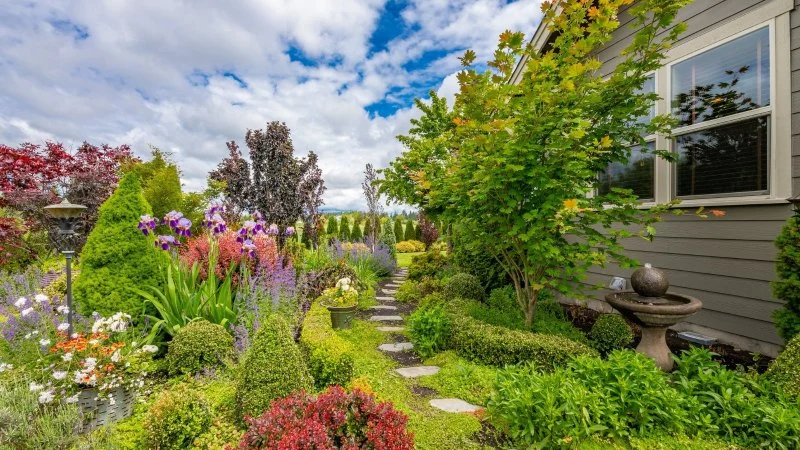 What Is Meadoscaping? A Low-Maintenance Trend for 2025