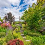 What Is Meadoscaping? A Low-Maintenance Trend for 2025