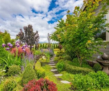 What Is Meadoscaping? A Low-Maintenance Trend for 2025