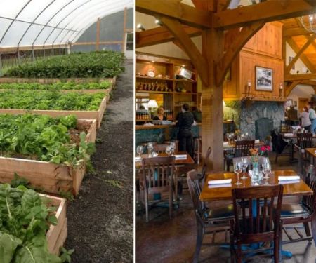 Best Farm-to-Table Restaurants Near Me: Taste Local, Seasonal Ingredients | Dine Droop
