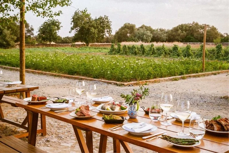 Best Farm-to-Table Restaurants in the US You Need to Try Right Now
