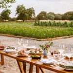 Best Farm-to-Table Restaurants in the US You Need to Try Right Now