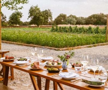Best Farm-to-Table Restaurants in the US You Need to Try Right Now