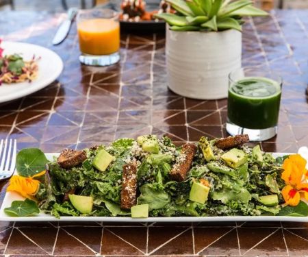 The Rise of Plant-Based Dining: Top Vegan-Friendly Restaurants You Need to Try