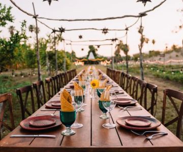 Everything You Need to Know About Farm-to-Table Dining: Local Restaurants Leading the Trend