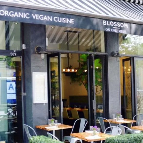 Why Searches for Vegetarian Restaurants Near Me Matter for Flexitarians
